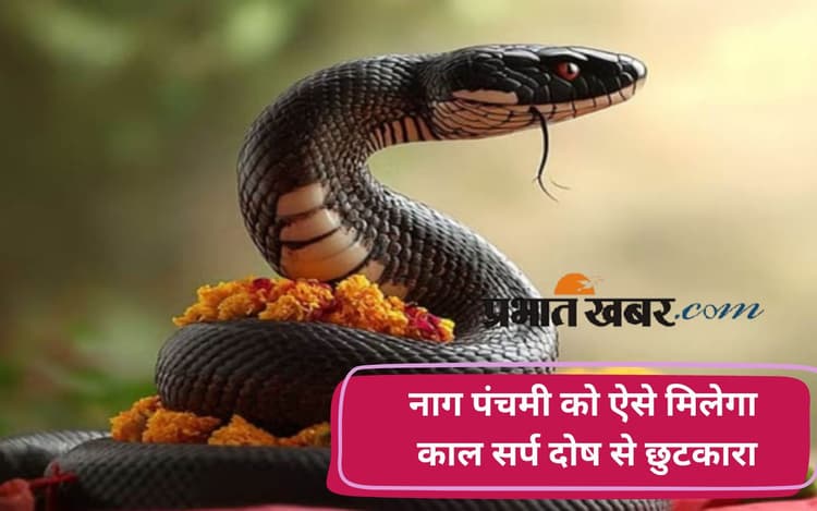 Nag Panchmi 2025: नाग पंचमी पर शिवलिंग पर चढ़ाए ये चीजें, काल सर्प दोष से होगी मुक्ति