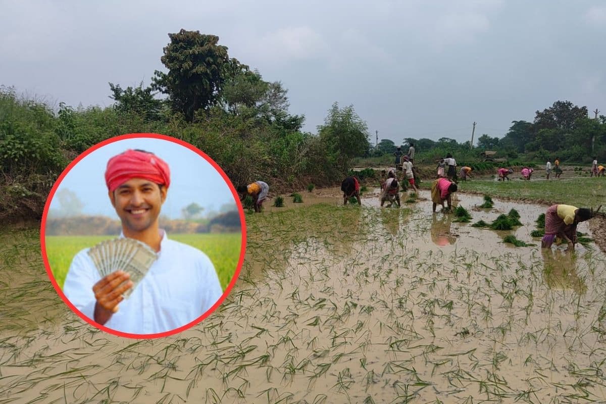 PM Kisan Yojana : ऐसे करें पीएम किसान के लिए आवेदन, झट से आएगी 20वीं किस्त