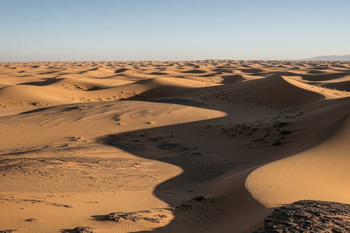 Parents Planned Child Sacrifice: मां-बाप बने राक्षस! 5 साल के बेटे को भूत मानकर करना चाहते थे कुर्बान