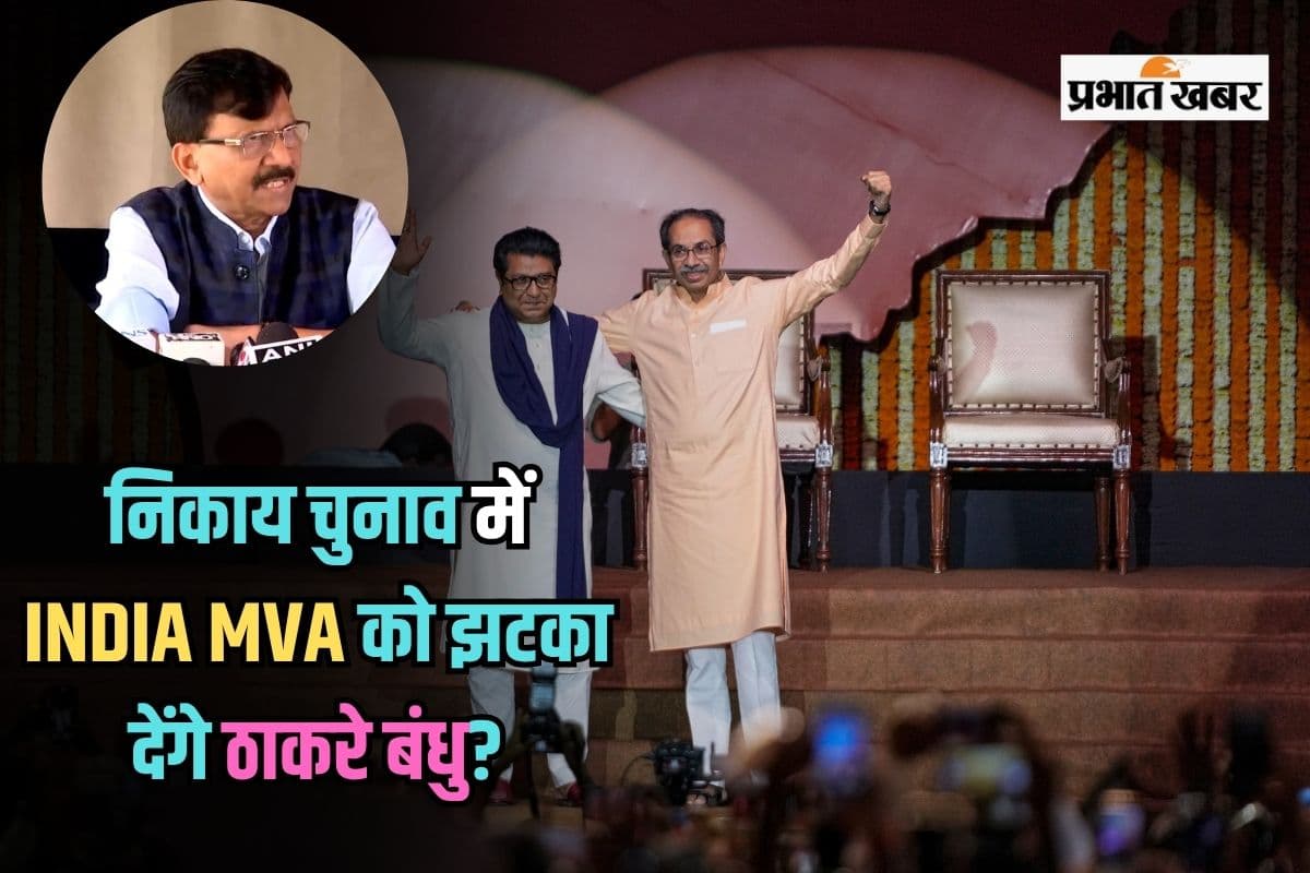 Maharashtra Politics: निकाय चुनाव में दिखेगा ठाकरे बंधुओं का जलवा, INDIA और MVA को तगड़ा झटका