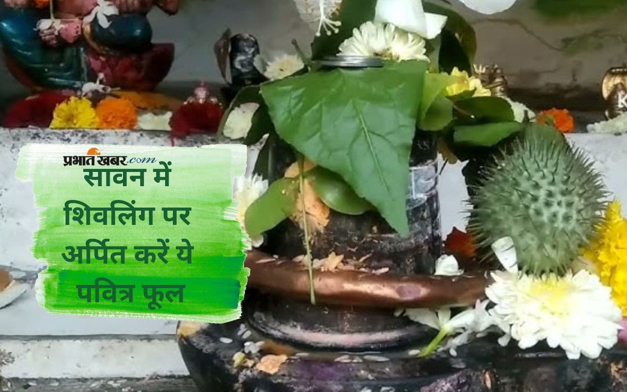 Sawan 2025 में भगवान शिव को अर्पित करें ये फूल, भोलेनाथ की कृपा होगी प्राप्त