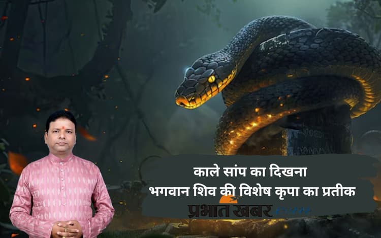 Sawan 2025: श्रावण में काले नाग का दर्शन, संयोग या शुभ संकेत, जानिए