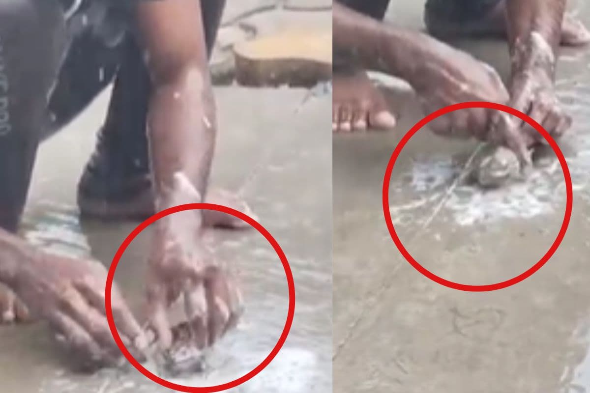 Viral Video: साबुन रगड़-रगड़कर बारिश में नहाते हुए मेंढक का वीडियो वायरल!