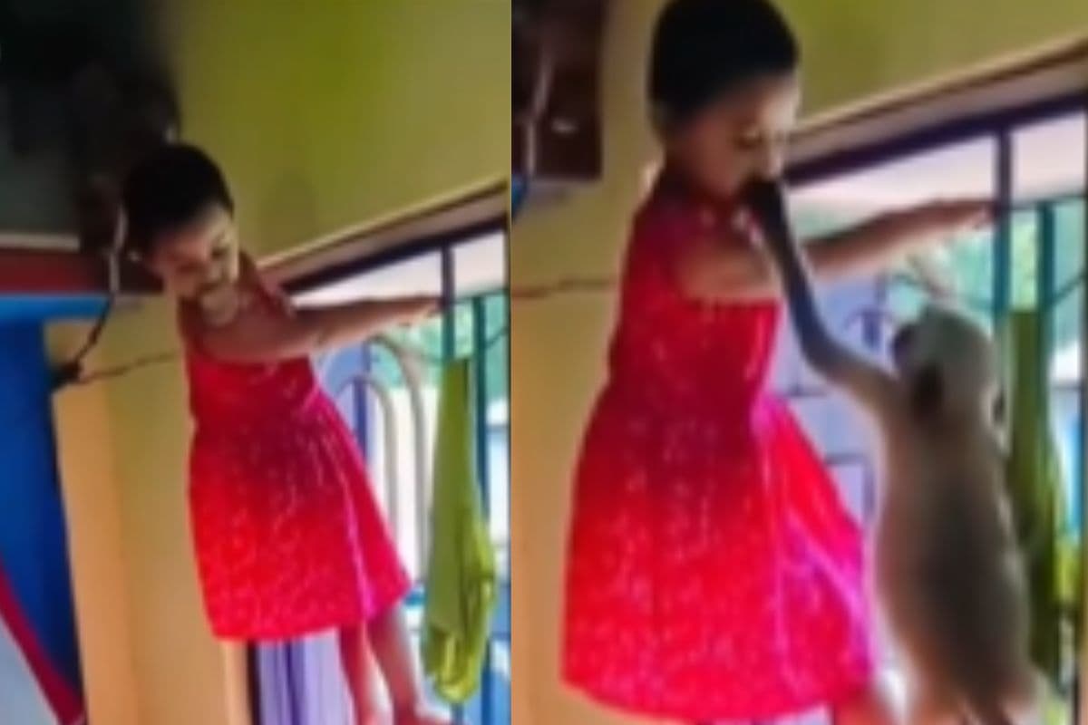 Viral Video: बंदर से बचने के लिए खिड़की पर चढ़ी बच्ची, फिर जो हुआ वो देख नहीं रोक पाएंगे हंसी