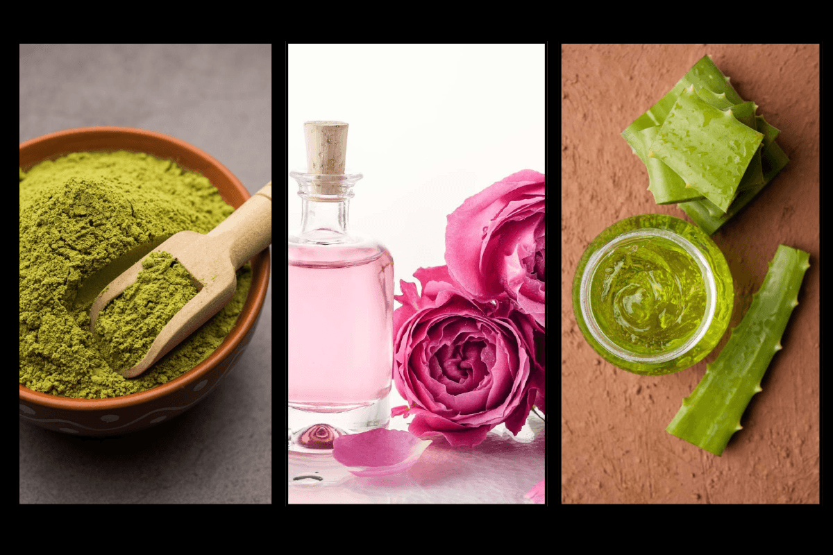 Monsoon Skincare Tips with Rose water Aloevera Gel and Neem face pack