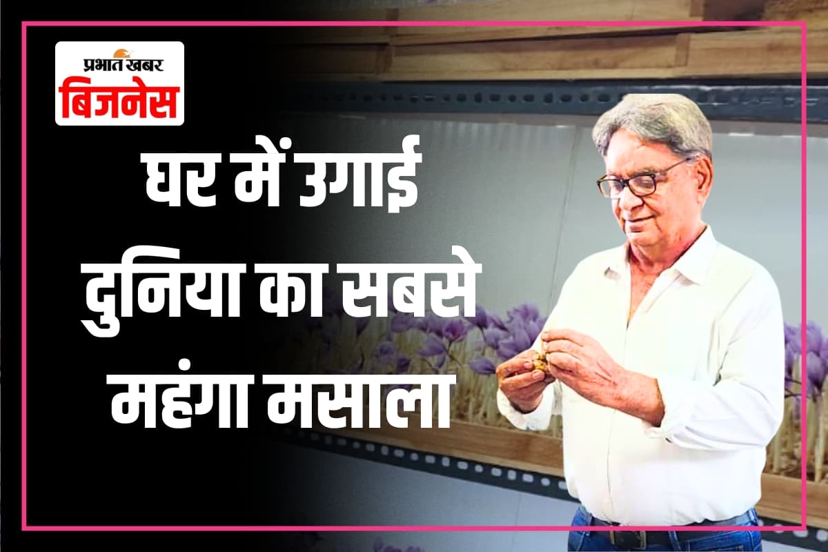 Success Story: इंजीनियर निकला खेती का खिलाड़ी, घर में उगाया दुनिया का सबसे महंगा मसाला