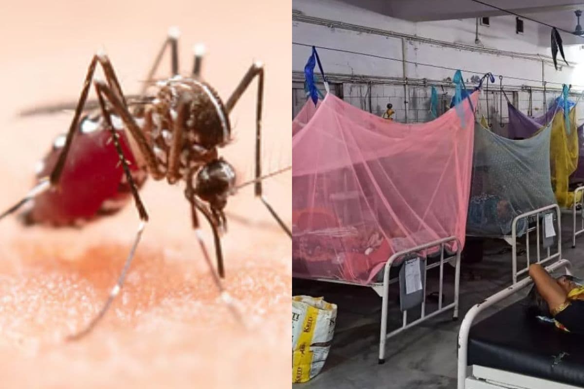 Dengue In Bihar: इस जिले में बढ़ रहा डेंगू का खतरा, अस्पताल में इलाज का इंतजाम नहीं, बाहर जाना बनी मजबूरी