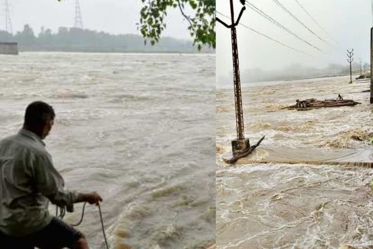 Bihar Flood Alert: गयाजी में फल्गु, पटना में गंगा का उफान देख सहम रहे लोग, सोन और पुनपुन भी दिखा रही रौद्र रूप, हाई अलर्ट