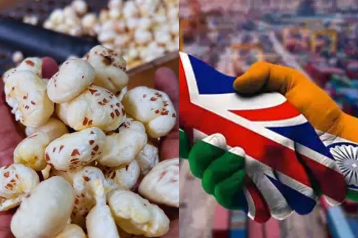 Bihar News: बिहार में मखाना कारोबार को नई पहचान, भारत-ब्रिटेन फ्री ट्रेड एग्रीमेंट से जानें कैसे होगा बड़ा फायदा...