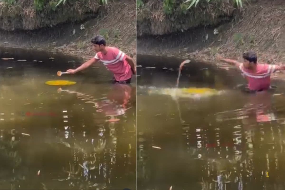 Viral Video: तालाब में हल्दी डाल रहा था युवक, सांप ने समझ लिया कुछ और… फिर जो हुआ, वायरल हो रहा वीडियो