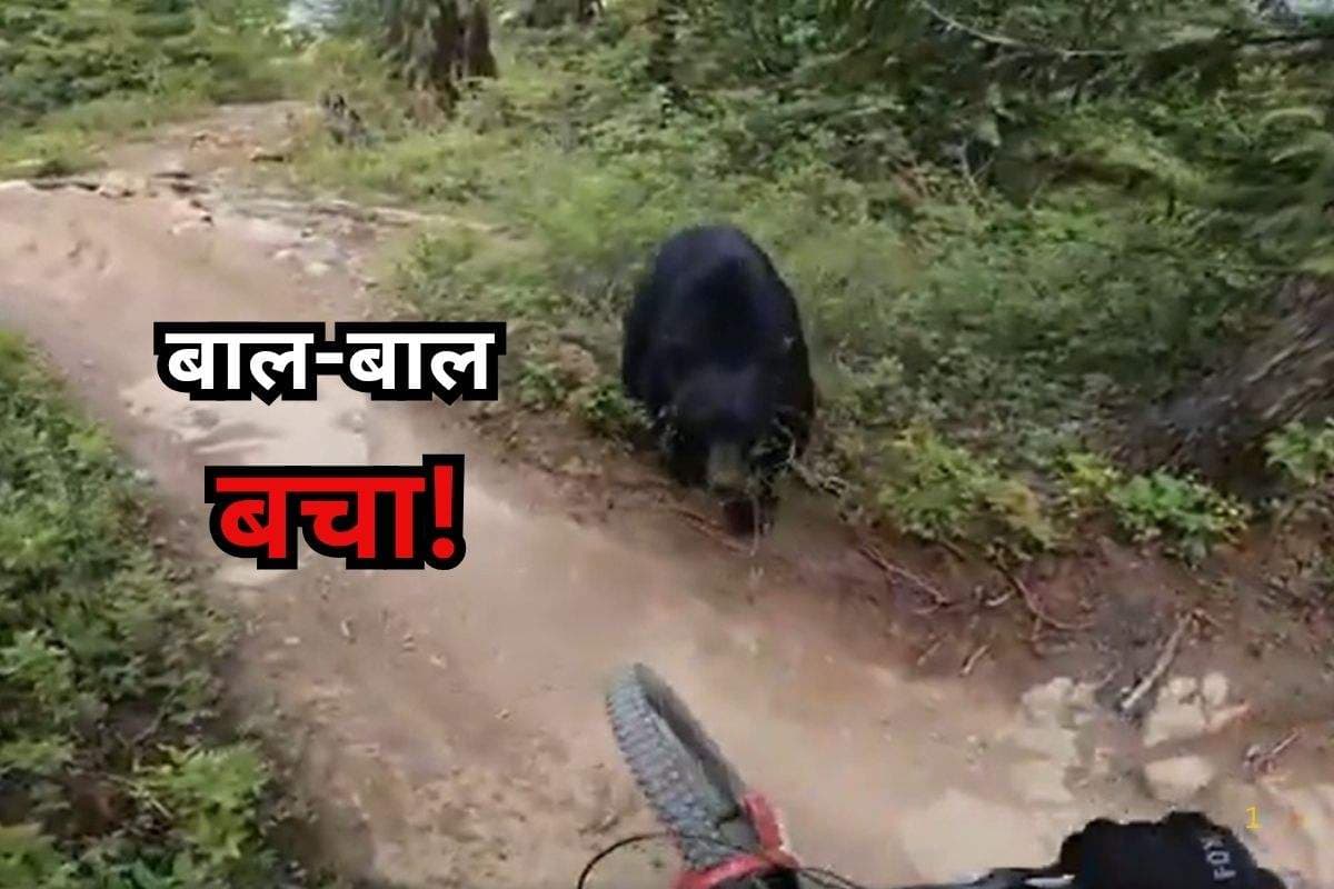 Viral Video: साइकिल लेकर निकला था शख्स, सामने आ गया खतरनाक भालू, वीडियो देखकर कांप जाएगा कलेजा