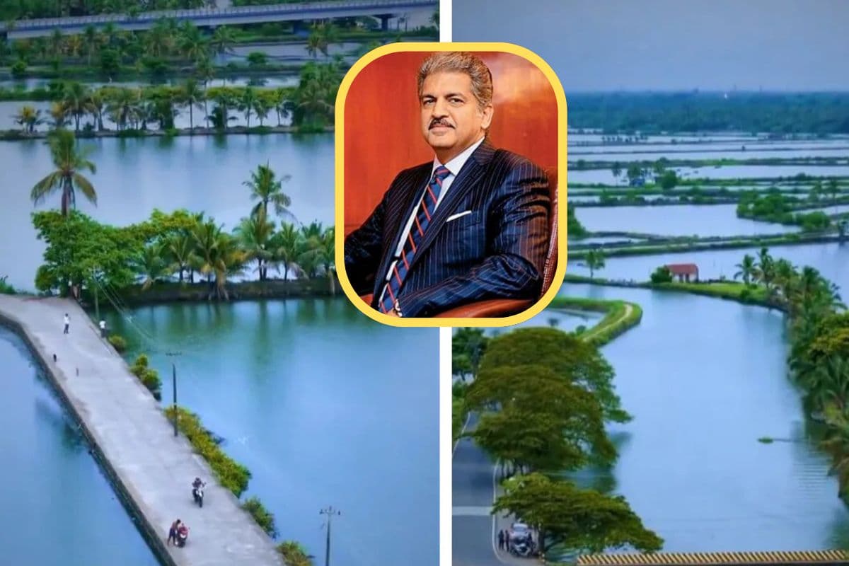 पानी के बीच तैरता यह गांव आखिर हैं कहां? आनंद महिंद्रा भी यहां घूमने की बना रहे प्लानिंग, शेयर किया लुभावना वीडियो