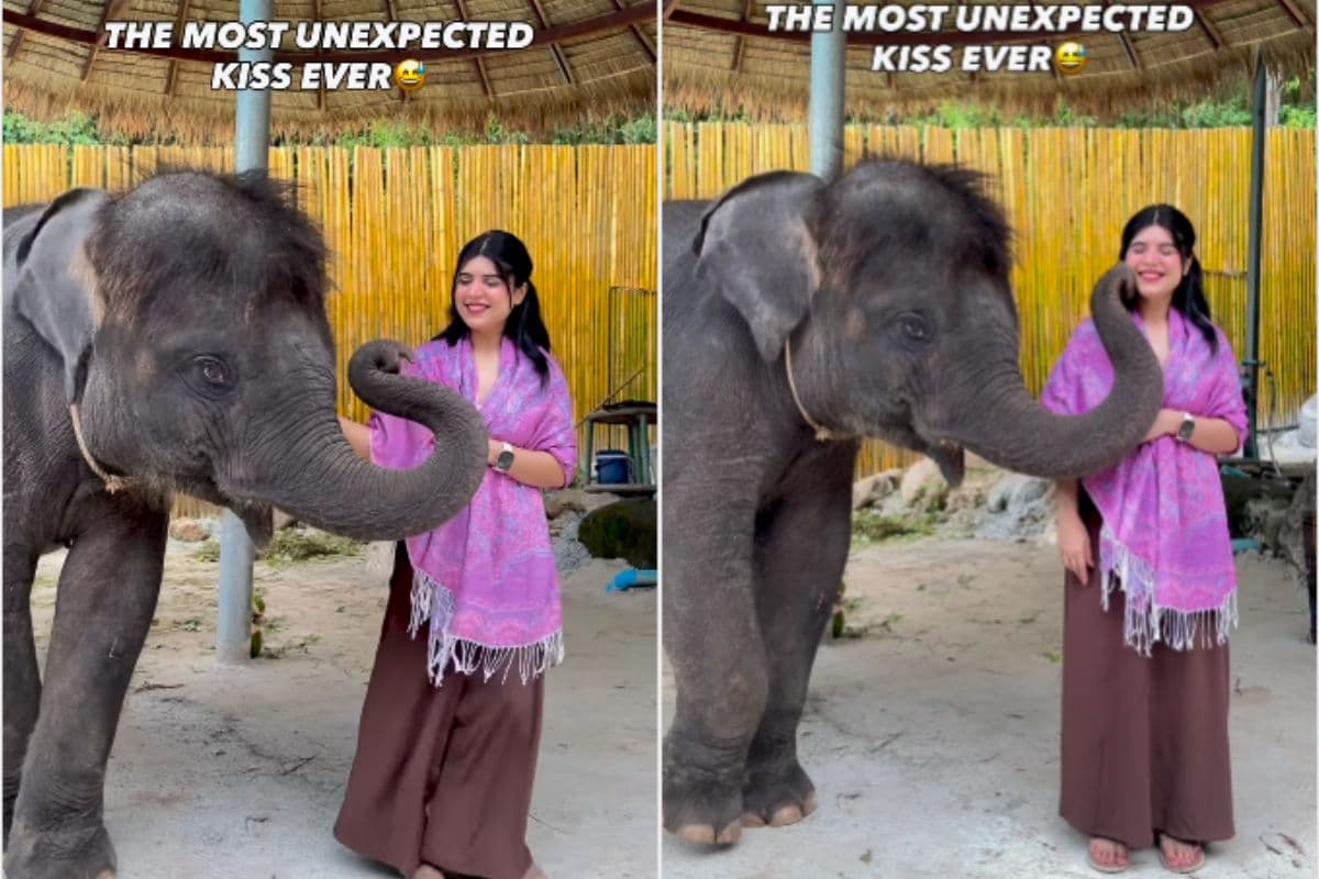 हाथी के साथ बस फोटो क्लिक करवाने गई थी लड़की, तभी उसने सूंड से किया कुछ ऐसा कि लोग बोले Awww...