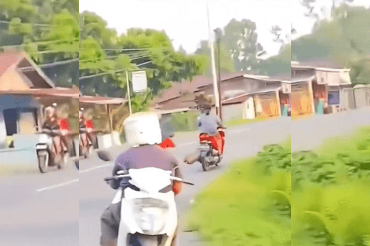 Viral Video: यह देसी जुगाड़ देख घूम जाएगा दिमाग, RTO वाले भी कर रहे इस बंदे की तलाश, वायरल हो रहा वीडियो