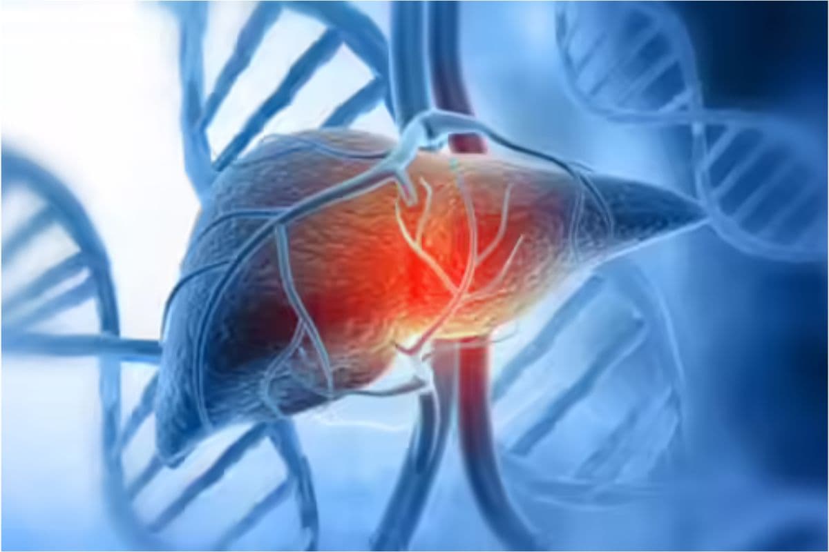 World Hepatitis Day 2025:लिवर की ये बीमारी नहीं देती दूसरा मौका,समय रहते पहचानें