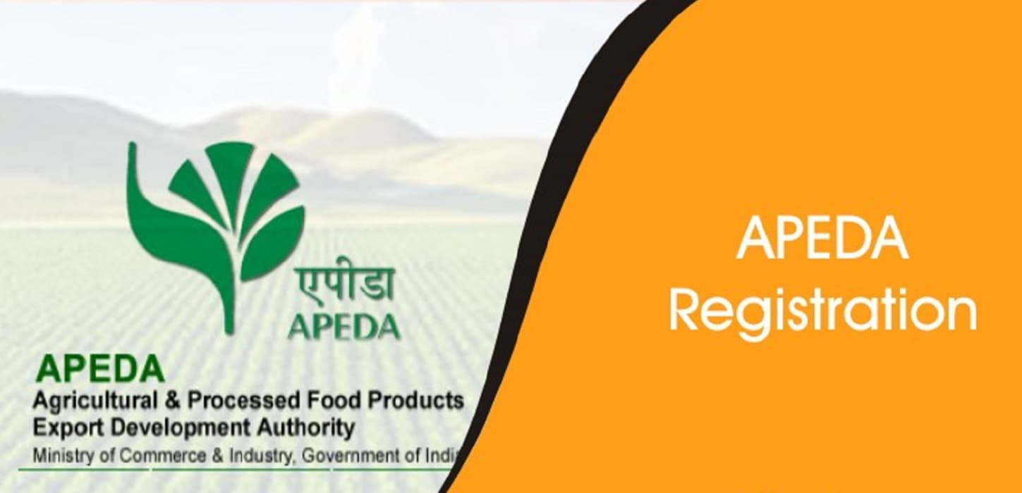 बिहार से विदेश अब सीधा एक्सपोर्ट होगा प्रोडक्ट, मोदी सरकार पटना में खोल दिया एपीडा कार्यालय