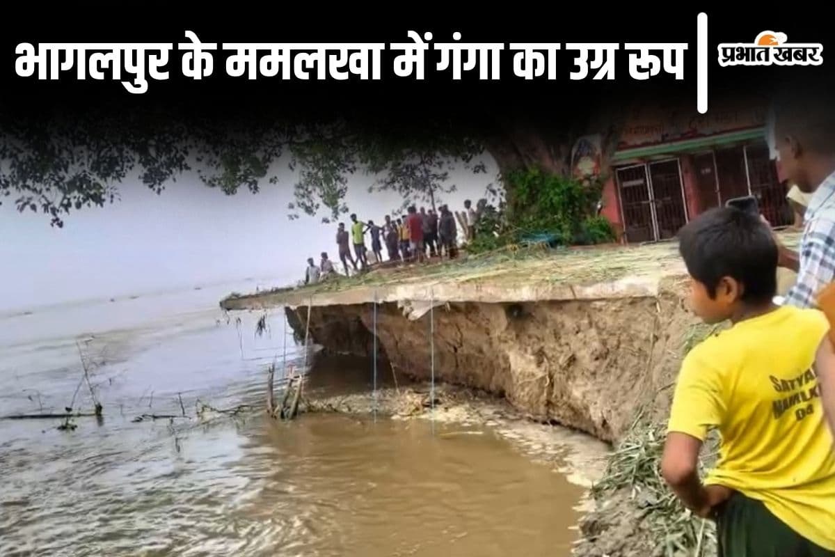 Video: भागलपुर के ममलखा में गंगा का तांडव, चायचक में मंदिर और विशालकाय पीपल पेड़ नदी में समाया