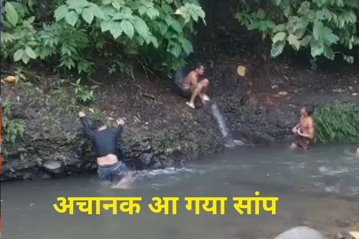 Viral Video : जंगल में नहा रहा था लड़का, अचानक आ गया बड़ा सांप, वीडियो देखकर दिल दहल जाएगा