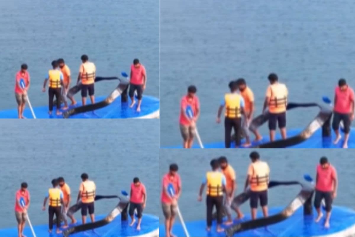 Viral Video: चप्पल बना बोट! लड़को की अनोखी सवारी ने सोशल मीडिया पर मचाया तहलका