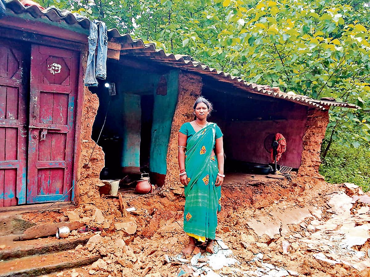 Chaibasa News : मनोहरपुर में बारिश ने मचायी तबाही, वज्रपात से नौ मवेशियों की मौत