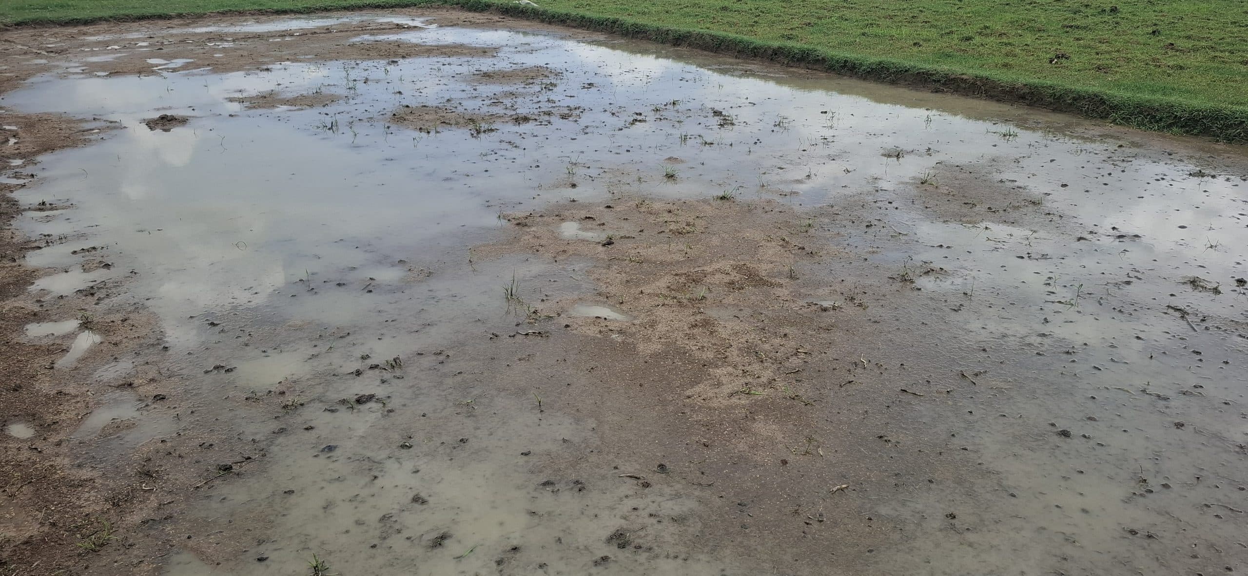 Giridih News :लगातार बारिश से किसान परेशान, धान का बीज बर्बाद होने की आशंका