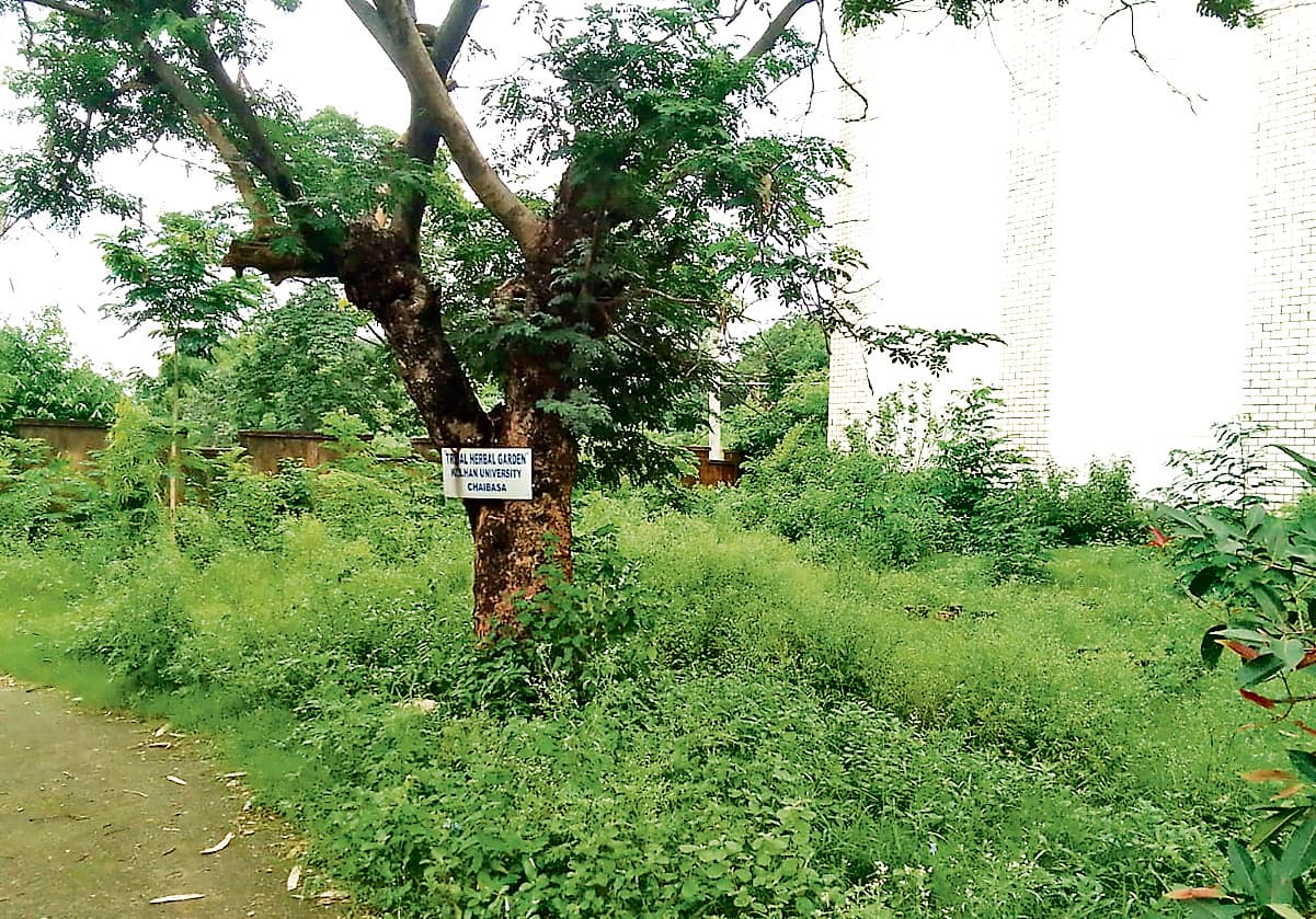 Chaibasa News : पांच लाख का साइकिल स्टैंड झाड़ियों से घिरा, टिन शेड उड़े