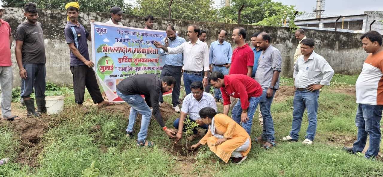 अंतरराष्ट्रीय सहकारिता सप्ताह पर सुधा डेयरी में लगाये गये पौधे