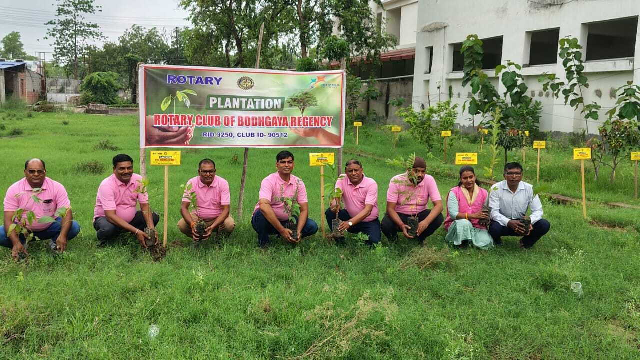 रोटरी क्लब ऑफ बोधगया रिजेंसी ने लगाये  100 पौधे