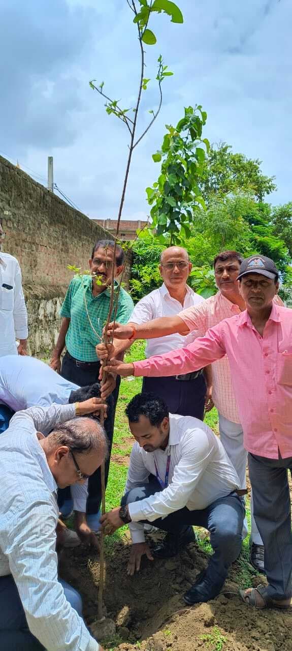 पौधारोपण कर एसबीआइ ने मनाया 70वां स्थापना दिवस