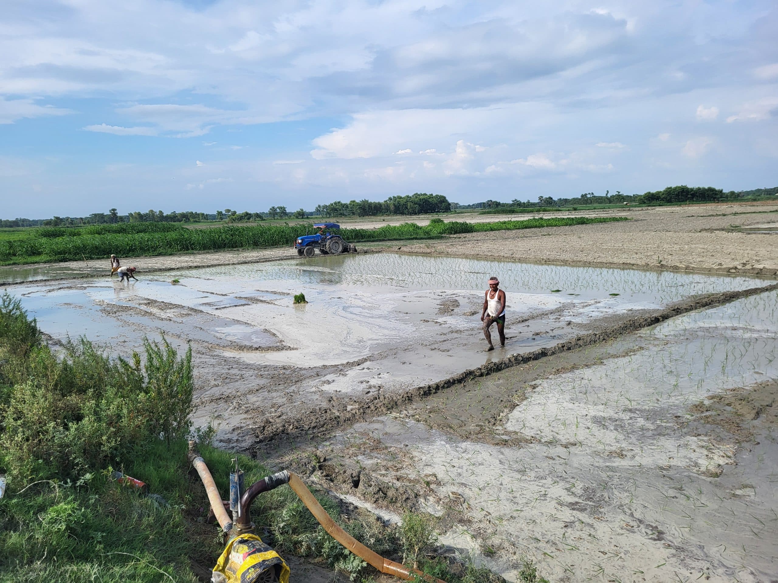 Samastipur News:खेत की सिंचाई कर धान की रोपाई कर रहे किसान