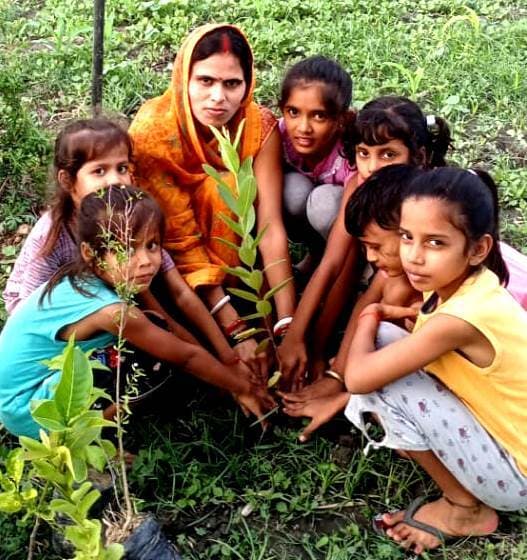 पर्यावरण के लिए जीविका दीदियां कर रहीं पौधरोपण