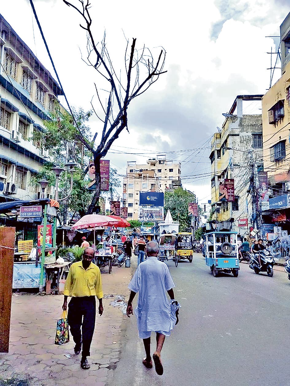 कब टूटेगी एचएमसी की कुंभकर्णी निद्रा, जीटी रोड पर कई सूखे पेड़ लोगों की जान लेने को तैयार