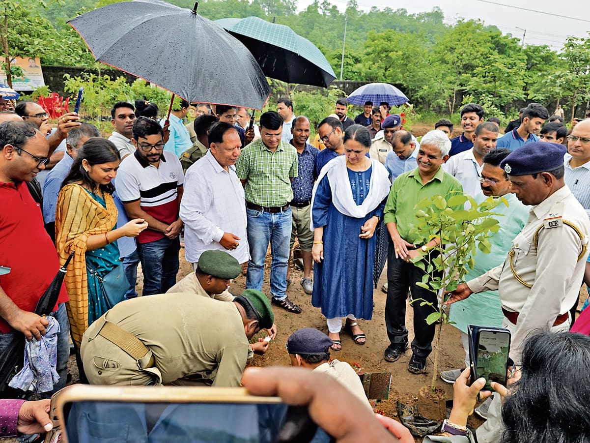 Rourkela News: एनआइटी राउरकेला में वन महोत्सव शुरू, 12000 पौधे लगाना है लक्ष्य