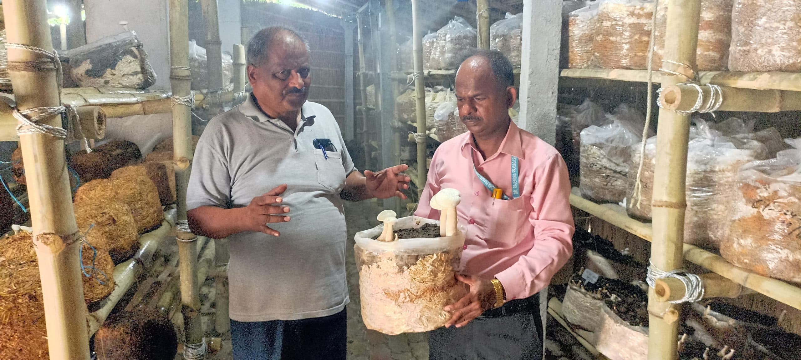 Samastipur News:पानी को बारीक बूंदों में बदलता है फॉगर : डा प्रसाद