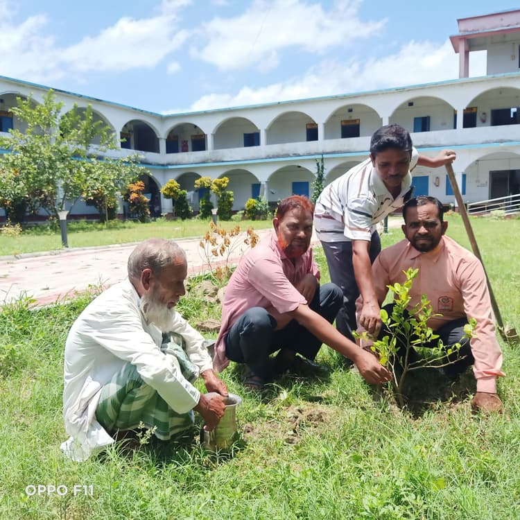 एएनएस डिग्री कॉलेज निस्ता में वन महोत्सव सप्ताह मना