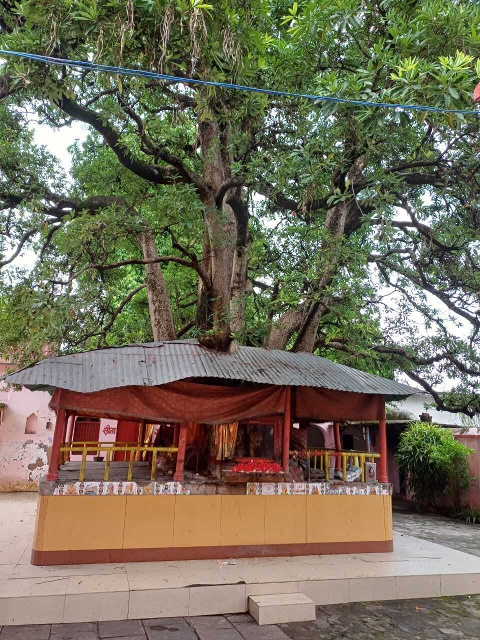 कल्पवृक्ष धाम परता को पर्यटन विभाग के कैलेंडर में शामिल करने की कवायद शुरू