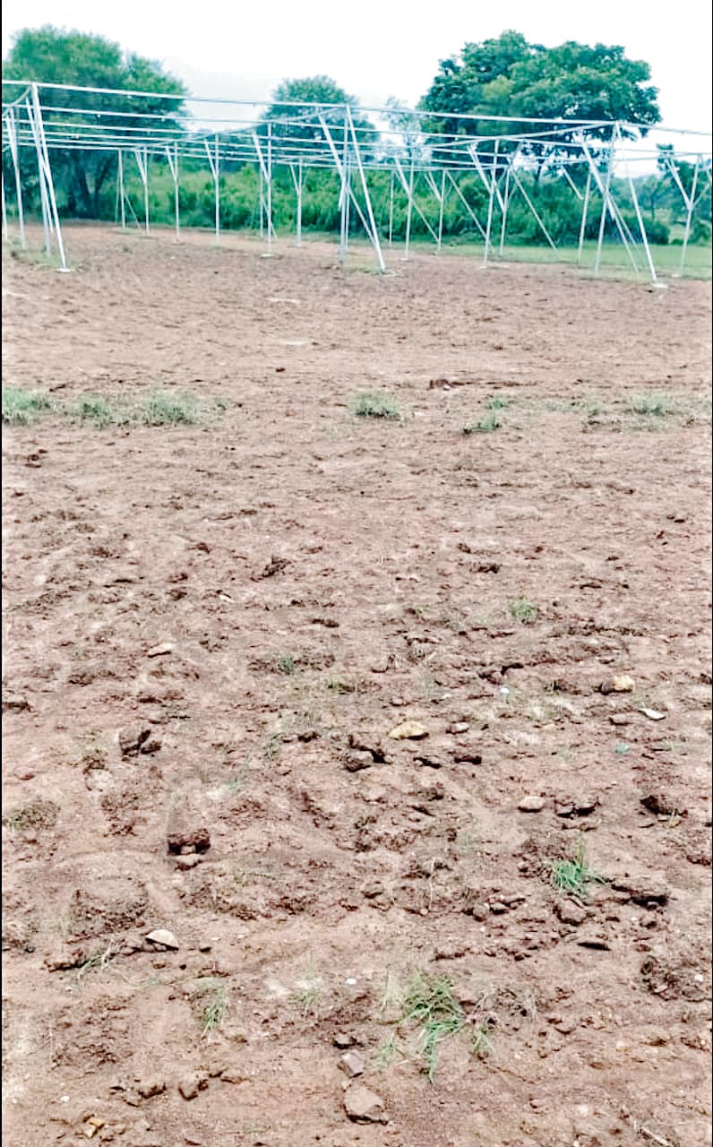 East Singhbhum News : पहले जिस खेत में फसल लहलहा रहे थे, आज मिट्टी-कीचड़ की परत जम गयी है