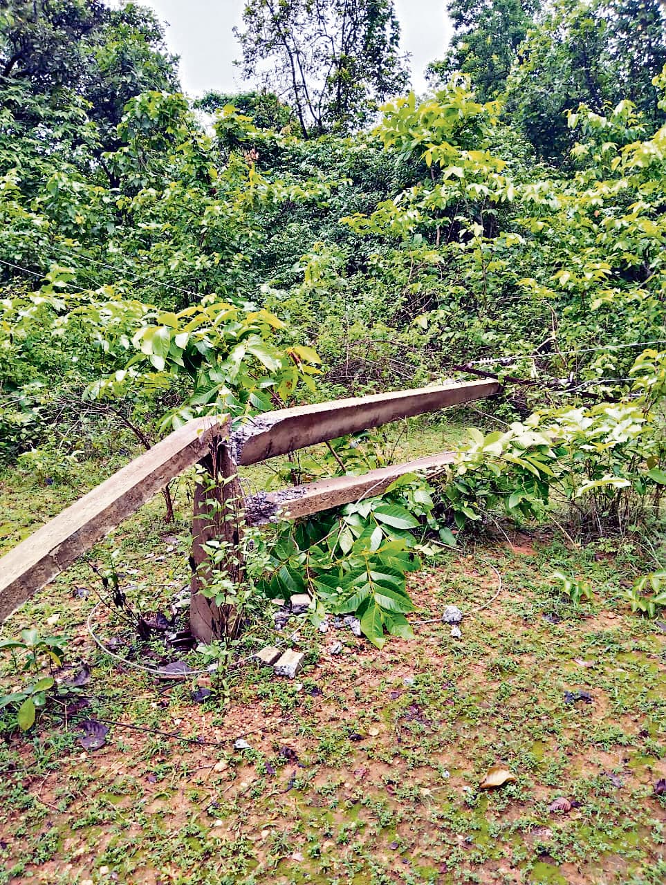 East Singhbhum News : जादूगोड़ा के तीन गांवों में सात दिनों से बिजली गुल, ग्रामीण परेशान