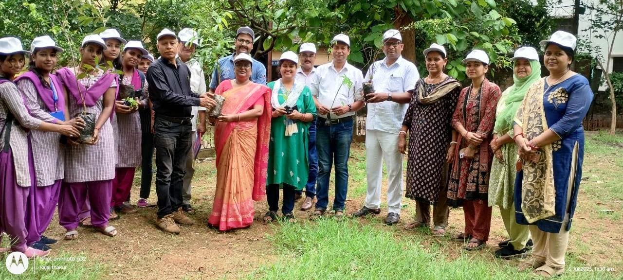 महाविद्यालय परिसर में लगाये गये दजर्नाें पाैधे, पर्यावरण संरक्षण का लिया संकल्प