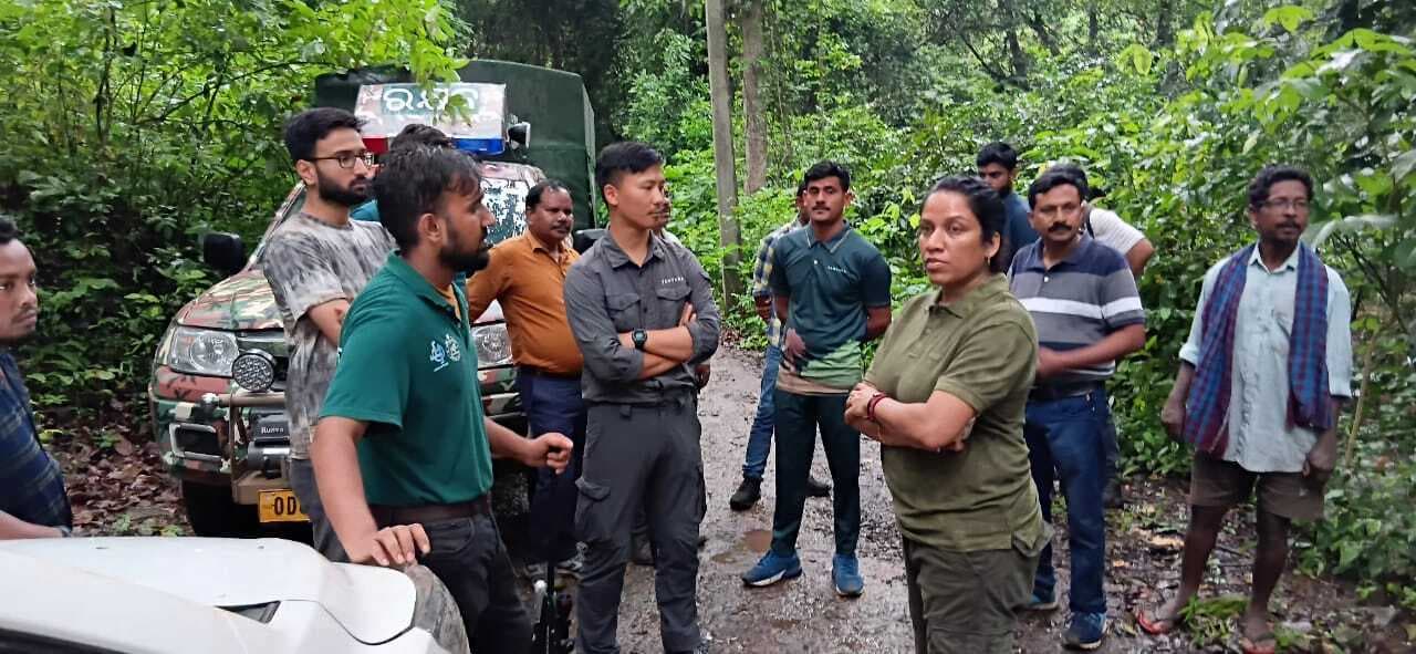 Chaibasa News : वन विभाग ने घायल हाथी का किया रेस्क्यू