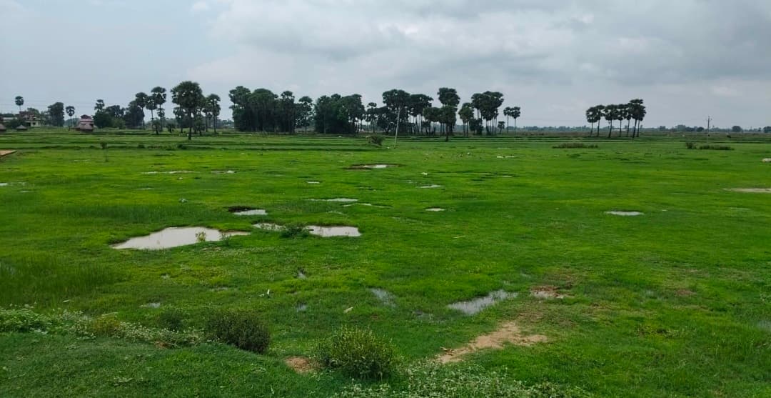 अकबरपुर में ट्रैकयुक्त फुटबॉल स्टेडियम का निर्माण होगा : विधायक