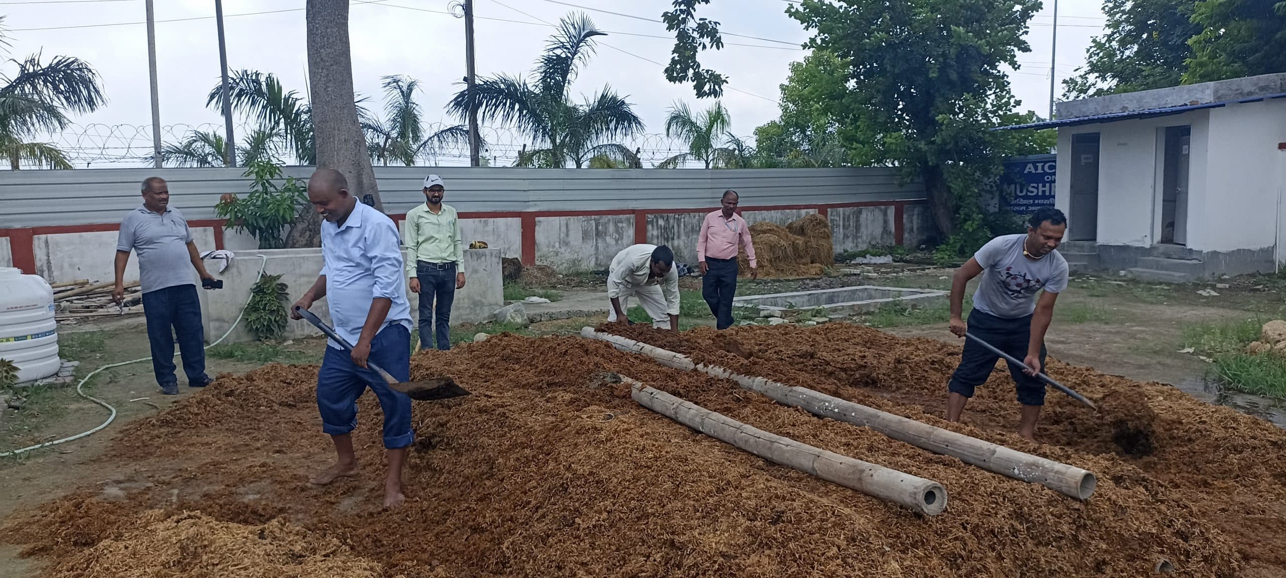 Samastipur News:मशरूम उत्पादन आय बढ़ाने का वैकल्पिक स्रोत : डा प्रसाद