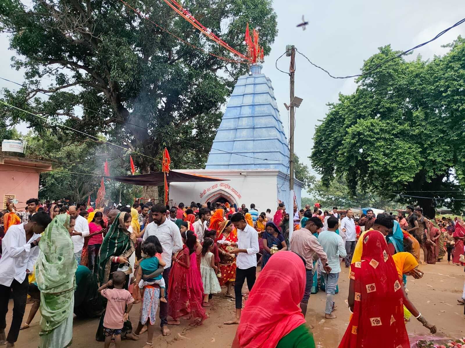 बेलदाहा नाग मंदिर में 25 हजार भक्तों ने की अष्टनाग की पूजा-अर्चना