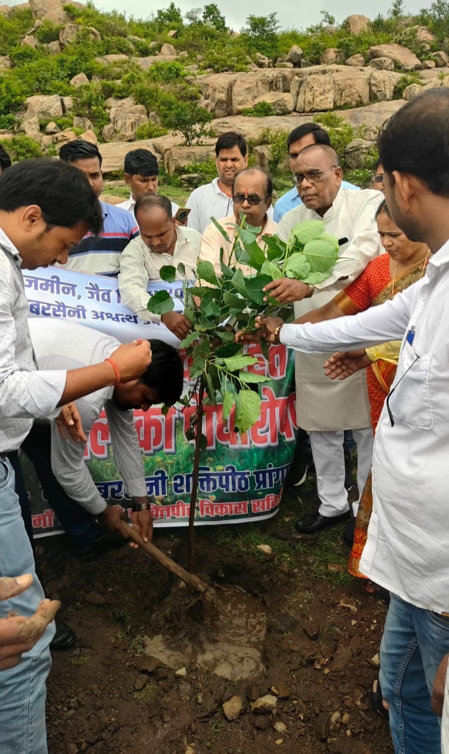 Giridih News :मां डबरसैनी मंदिर परिसर में लगाये गये 1008 पीपल पौधे