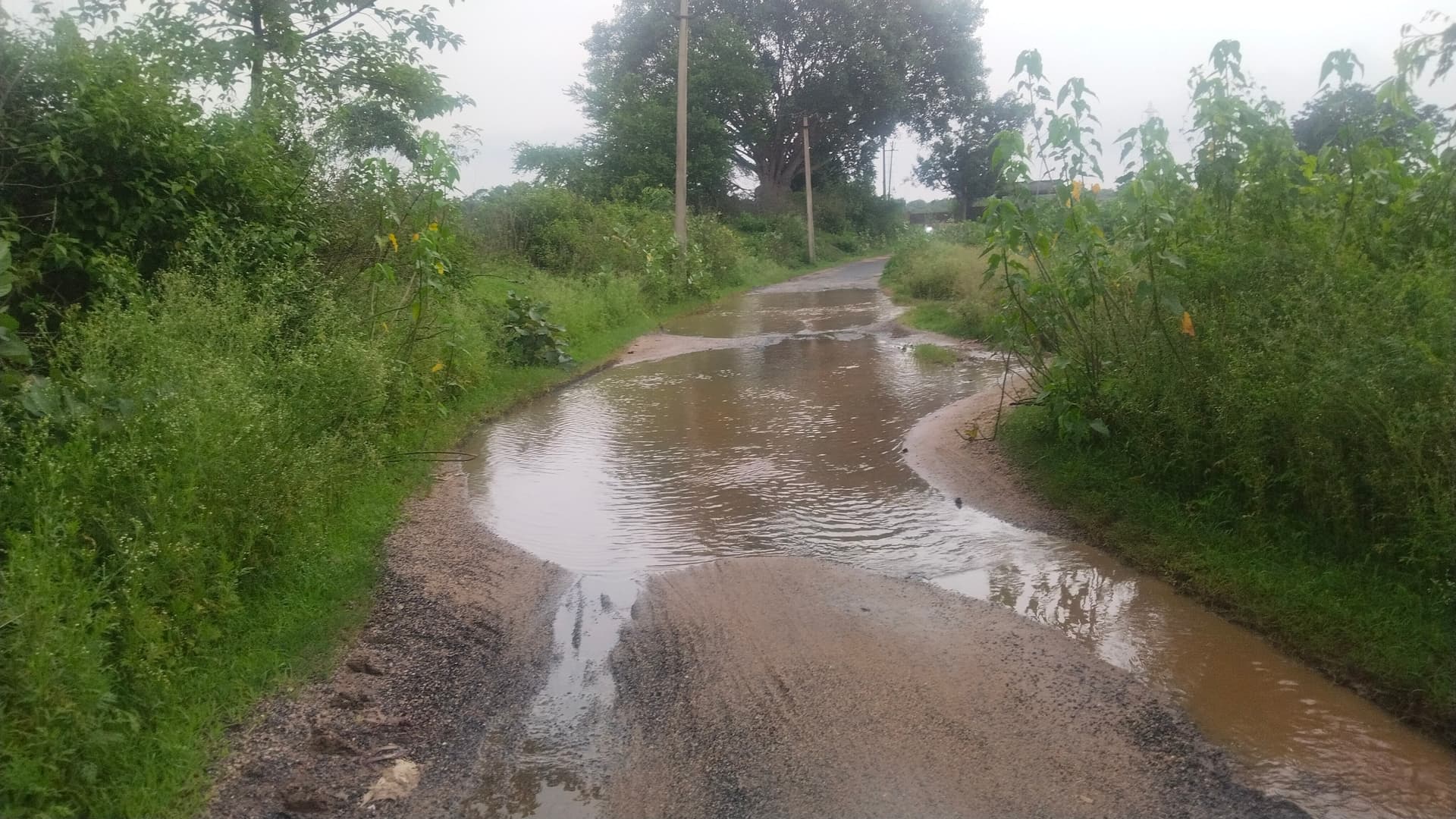 Bokaro News : जर्जर सड़क पर जलजमाव से आवागमन में बढ़ी परेशानी