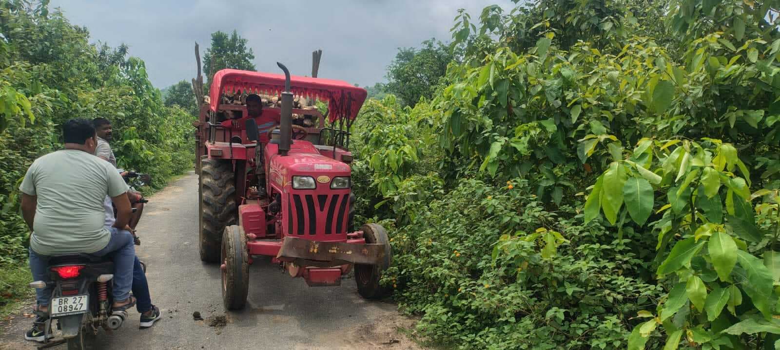 वन विभाग की टीम ने रजौली में चार ट्रक अवैध लकड़ी की जब्त