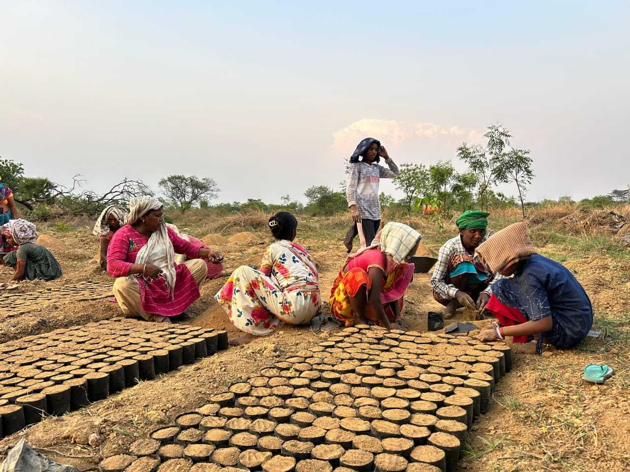 Ranchi News : धरती की हरियाली, हमारी जिम्मेदारी