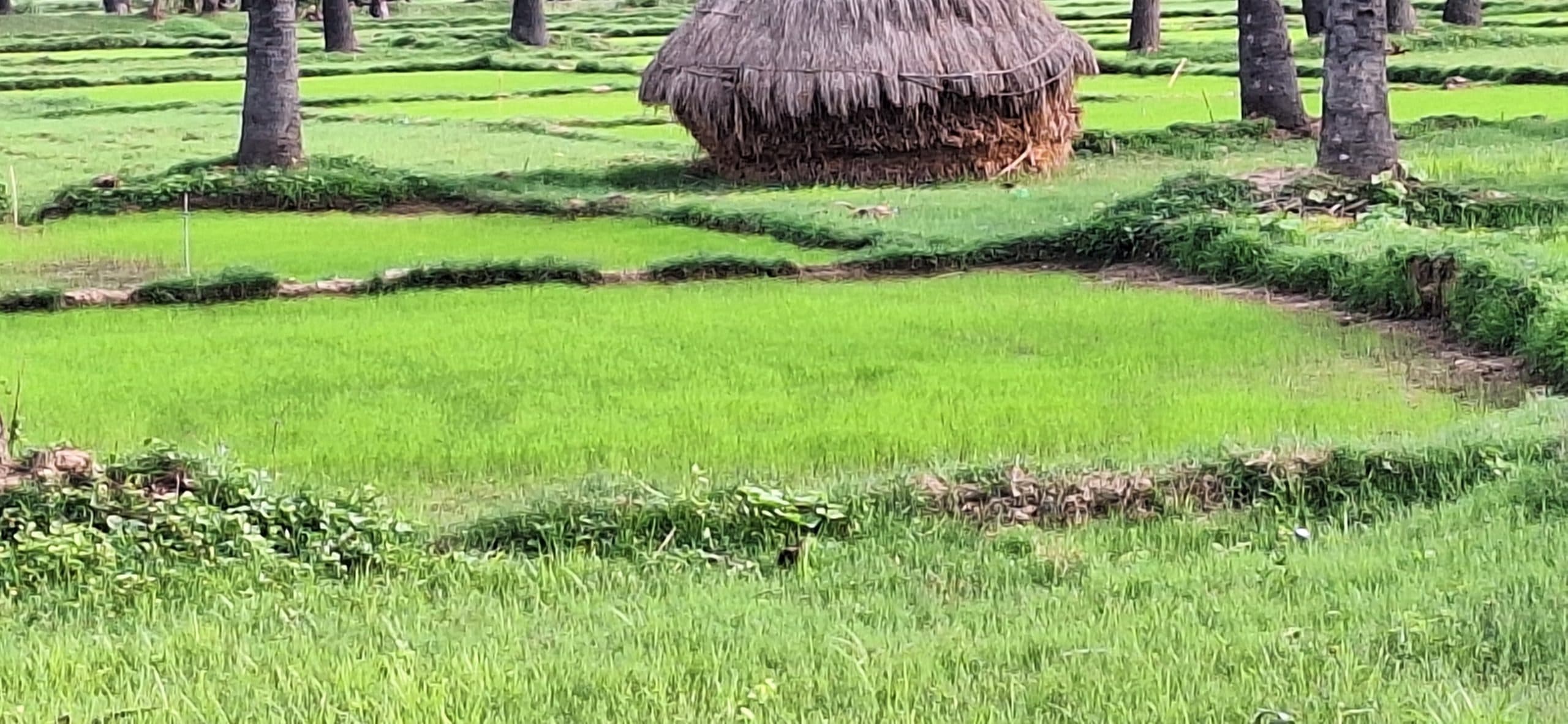 बारिश के इंतजार में बैठे हैं किसान