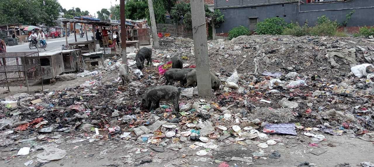 एनएच 106 के किनारे जमा गंदगी, आमजनों के लिए बनी समस्या