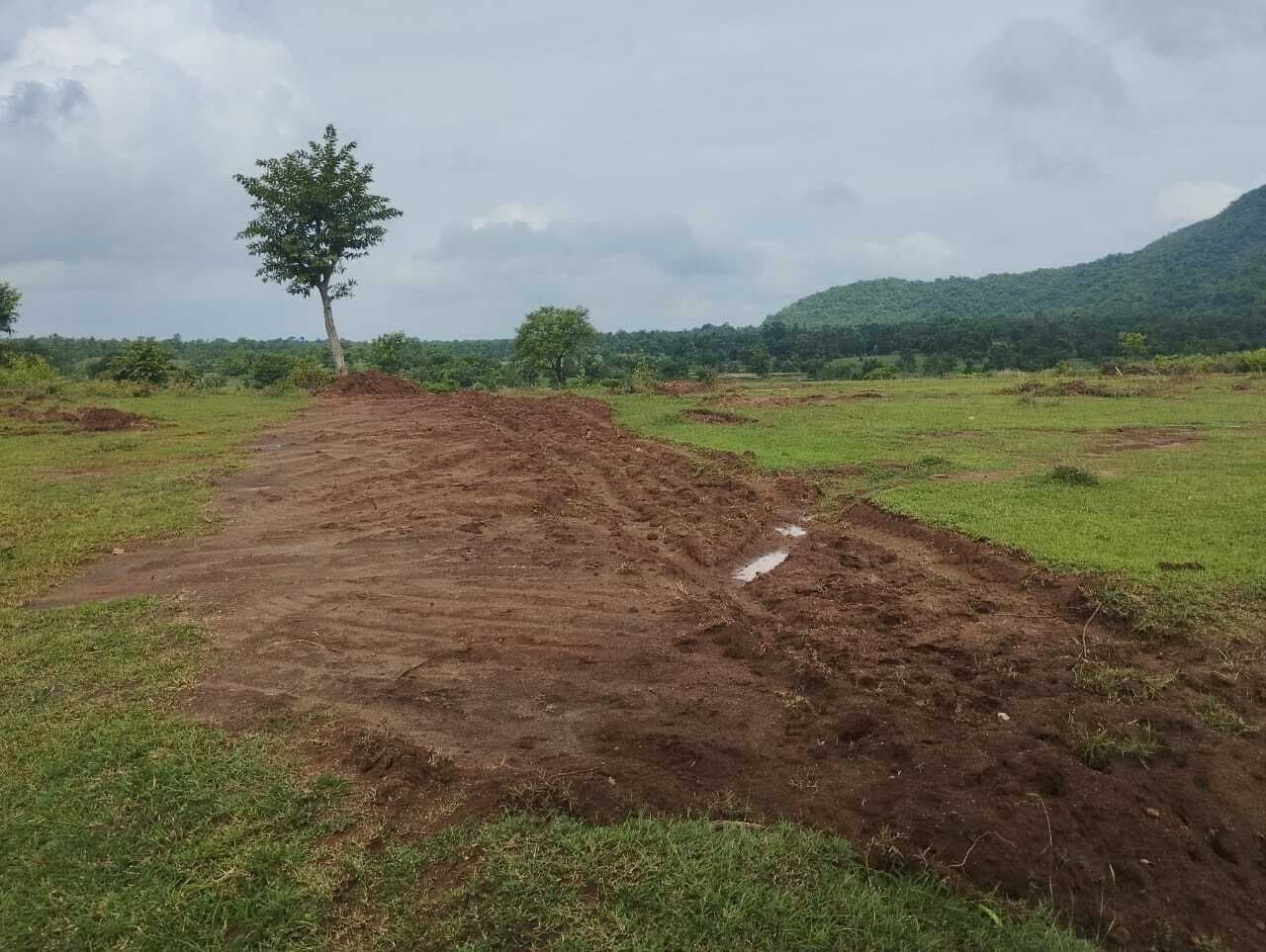 वन विभाग की जमीन पर हो रहा अतिक्रमण